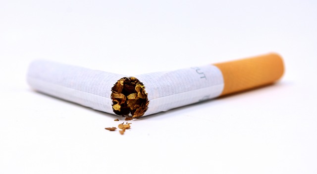 Hvordan vil et totalt forbud mod cigaretter påvirke samfundet?