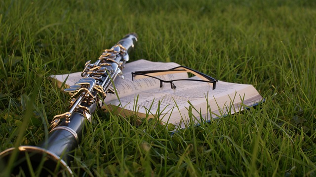 Tips og tricks til klarinetbegyndere: Sådan kommer du godt fra start